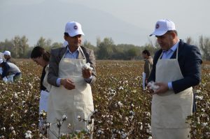 чамъоварии пахта абдурахмони чоми