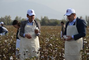 чамъоварии пахта абдурахмони чоми